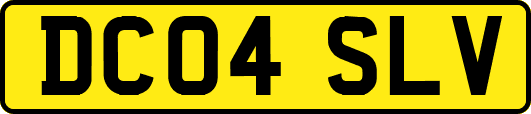 DC04SLV