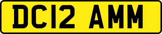 DC12AMM