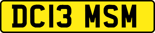 DC13MSM