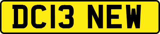 DC13NEW
