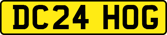 DC24HOG