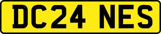DC24NES