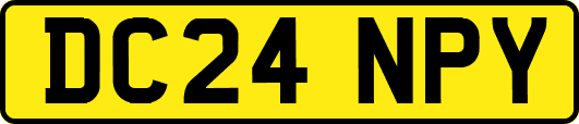 DC24NPY