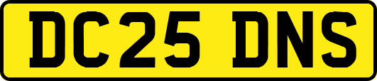 DC25DNS
