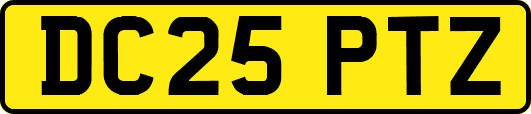 DC25PTZ