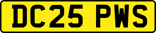 DC25PWS