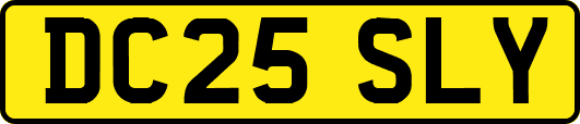 DC25SLY