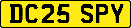 DC25SPY
