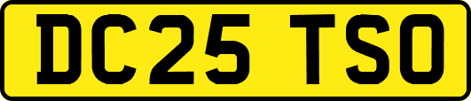 DC25TSO