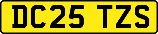 DC25TZS