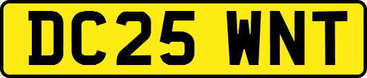 DC25WNT