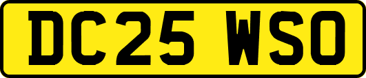 DC25WSO