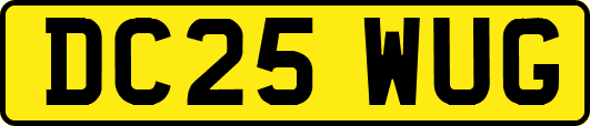 DC25WUG