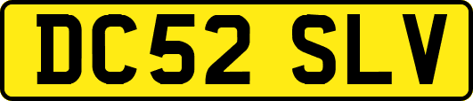 DC52SLV