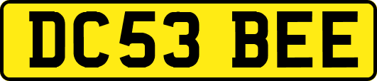 DC53BEE