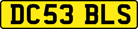 DC53BLS