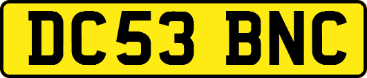 DC53BNC