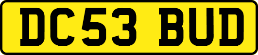 DC53BUD