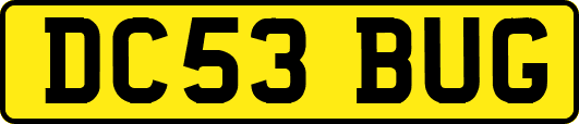 DC53BUG