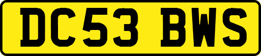 DC53BWS