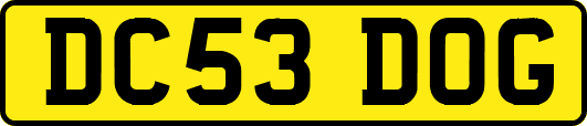 DC53DOG