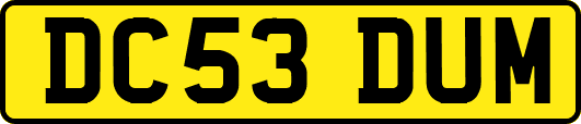 DC53DUM