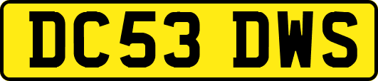 DC53DWS