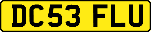 DC53FLU