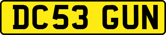 DC53GUN