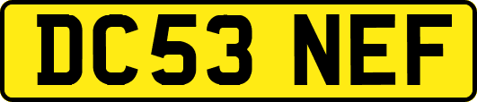 DC53NEF
