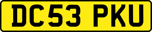 DC53PKU