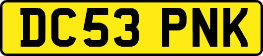 DC53PNK