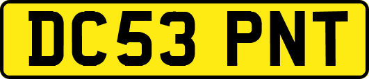 DC53PNT