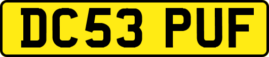 DC53PUF