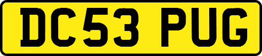 DC53PUG