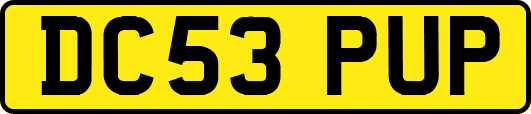 DC53PUP