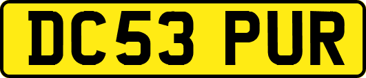 DC53PUR