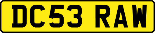 DC53RAW