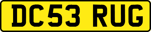 DC53RUG