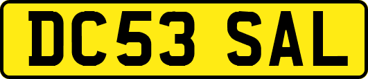 DC53SAL