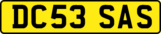 DC53SAS