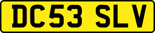 DC53SLV
