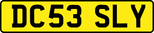 DC53SLY