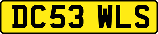 DC53WLS