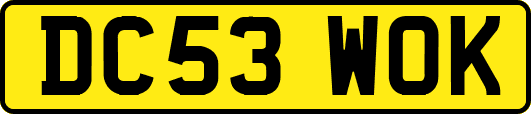 DC53WOK