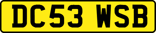 DC53WSB