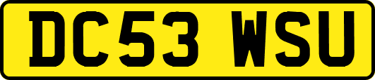 DC53WSU