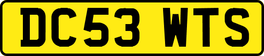 DC53WTS