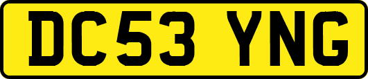 DC53YNG