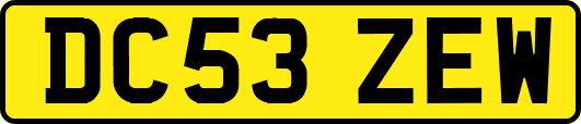 DC53ZEW